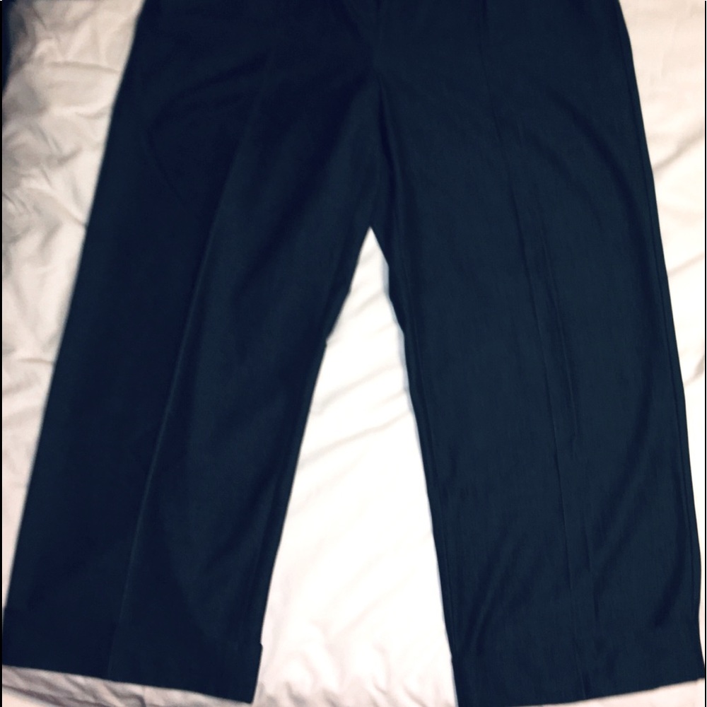 Dialogue dress Slacks women size 20